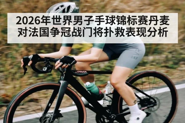2026年世界男子手球锦标赛丹麦对法国争冠战门将扑救表现分析
